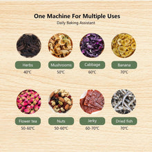 Load image into Gallery viewer, BioloMix BPA FREE 5 Trays Food Dryer Dehydrator with Digital Timer and Temperature Control for Fruit Vegetable Meat Beef Jerky|Dehydrators|