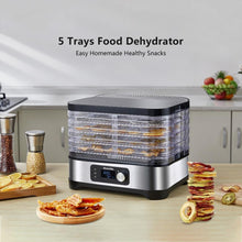 Load image into Gallery viewer, BioloMix BPA FREE 5 Trays Food Dryer Dehydrator with Digital Timer and Temperature Control for Fruit Vegetable Meat Beef Jerky|Dehydrators|