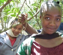 Load image into Gallery viewer, DJIMMAH, ETHIOPIA