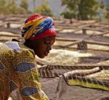 Load image into Gallery viewer, DJIMMAH, ETHIOPIA