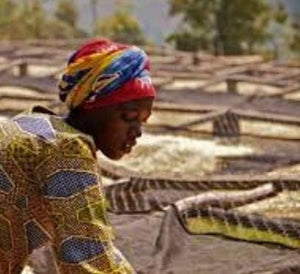 DJIMMAH, ETHIOPIA