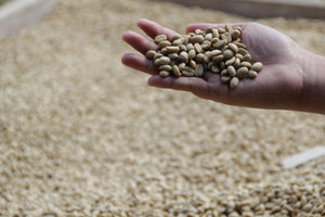 BATAK, SUMATRA MANDHELING
