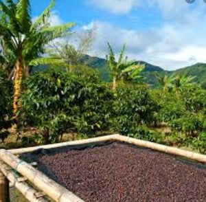 BATAK, SUMATRA MANDHELING