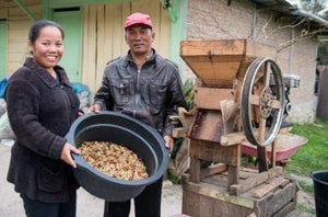 BATAK, SUMATRA MANDHELING