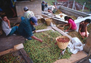 BATAK, SUMATRA MANDHELING